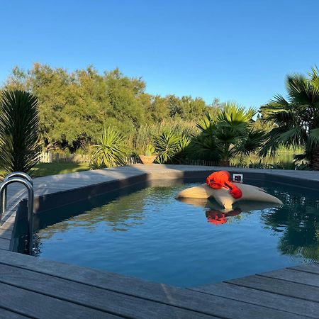 Cabane Le Flamant Avec Jardin, Piscine Et Parking Les Les Saintes-Maries-de-la-Mer Extérieur photo