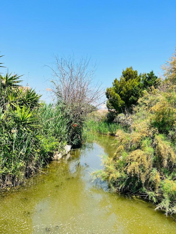 Cabane Le Flamant Avec Jardin, Piscine Et Parking Les Les Saintes-Maries-de-la-Mer Extérieur photo